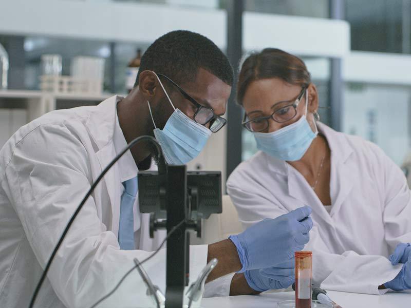 Researchers in lab