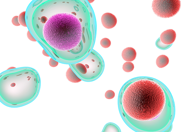 T cells attacking cancer cells Credit: Giovanni Cancemi via Adobe Stock